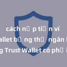 cách nạp tiền ví trust wallet bằng thẻ ngân hàng Trust Wallet có phải là ví điện tử tốt nhất tại Việt Nam không?