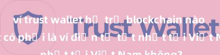 ví trust wallet hỗ trợ blockchain nào Trust Wallet có phải là ví điện tử tốt nhất tại Việt Nam không?